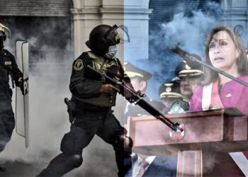 Defensa presidencial en el caso muertes durante violencia social –  entre el orden interno y la autoría mediata