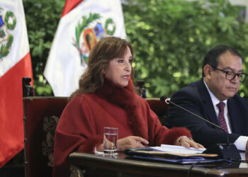 Sombras y dudas en el iv informe de gestión en materia de seguridad