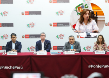 Presidenta Dina Boluarte: es hora de un gabinete técnico para salvar al país